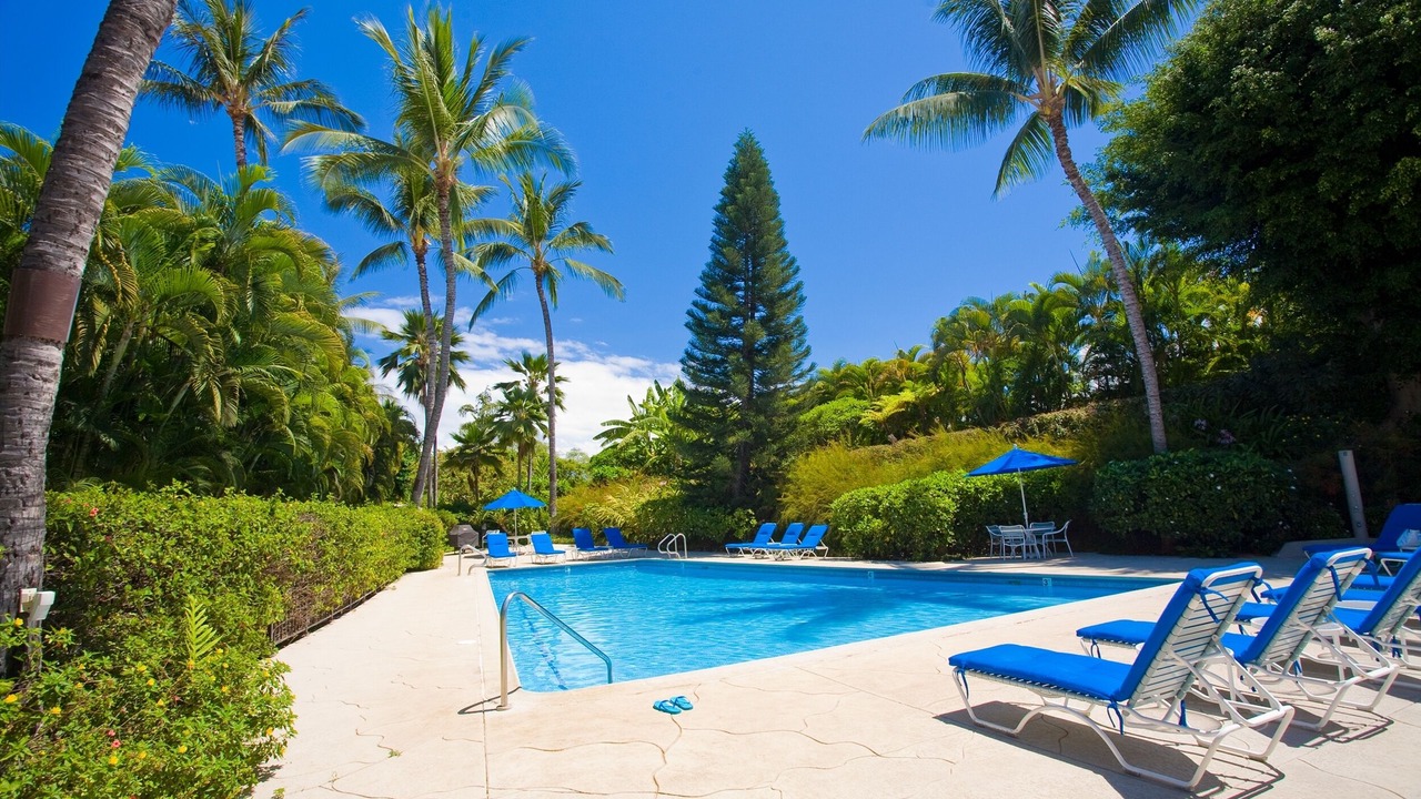 Photo of Others in Wailea