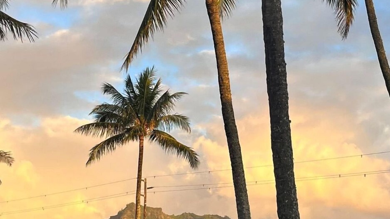 Photo of Others in Wailua