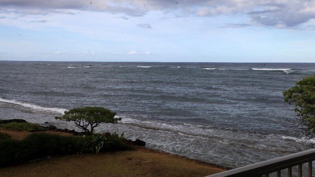 Photo of Others in Wailua