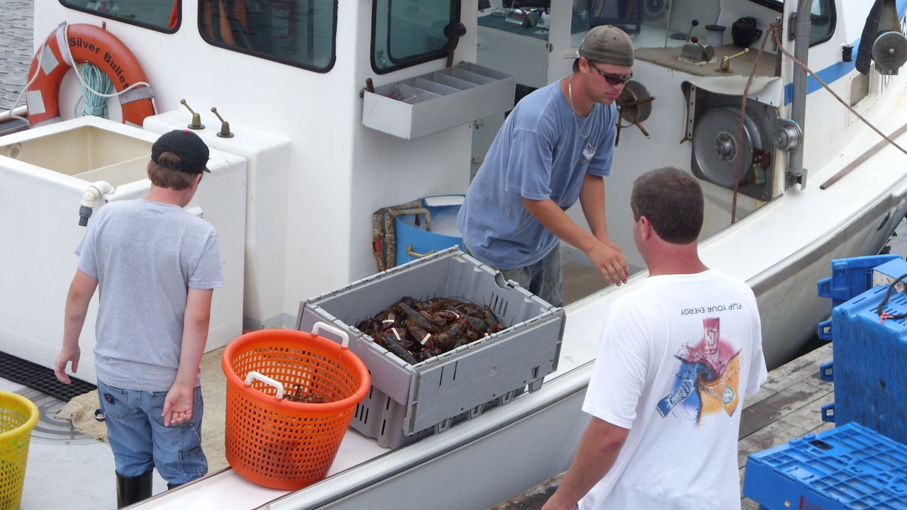 Photo of Others in Pemaquid Point