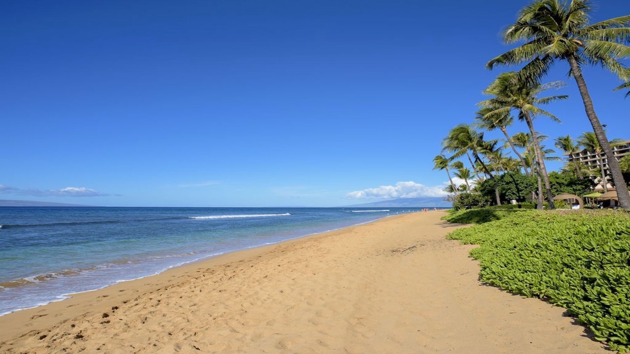 Photo of Others in Kaanapali