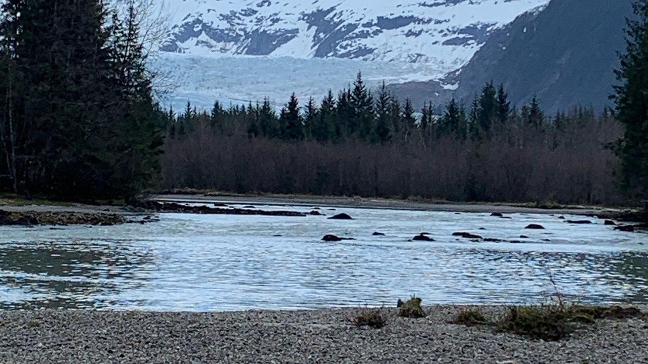 Photo of Others in Juneau
