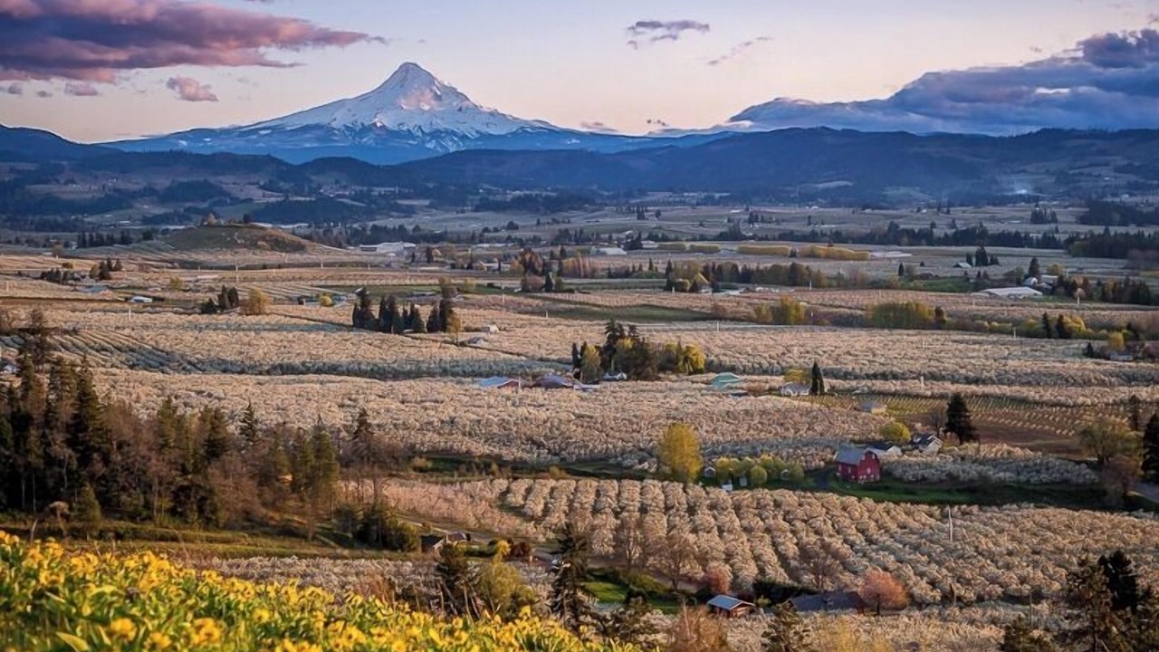 Photo of Others in Hood River