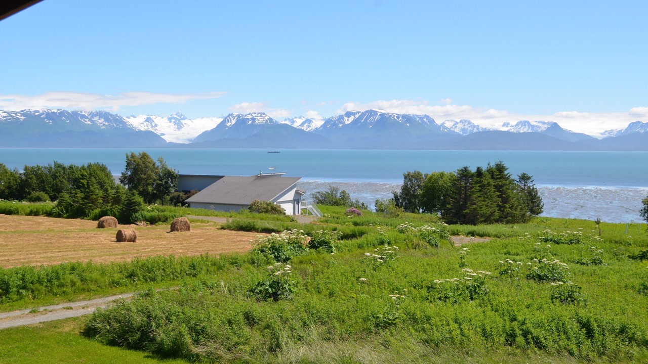 Photo of Others in Kachemak