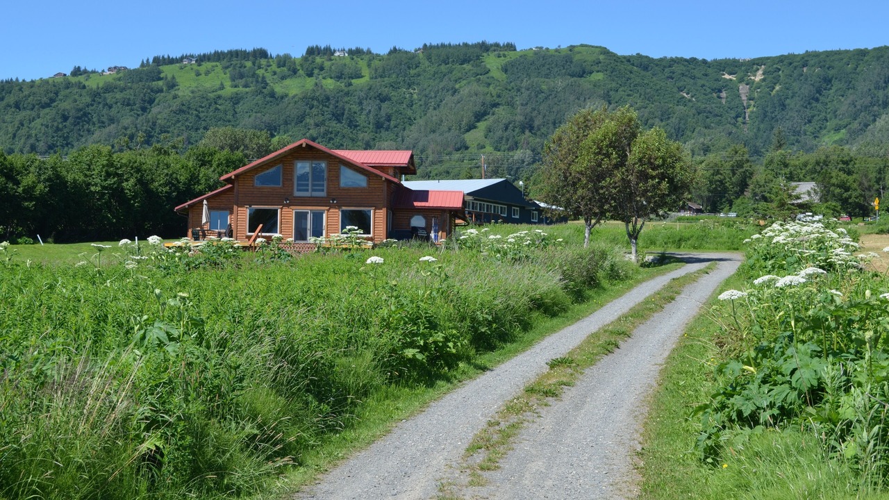 Photo of Others in Kachemak