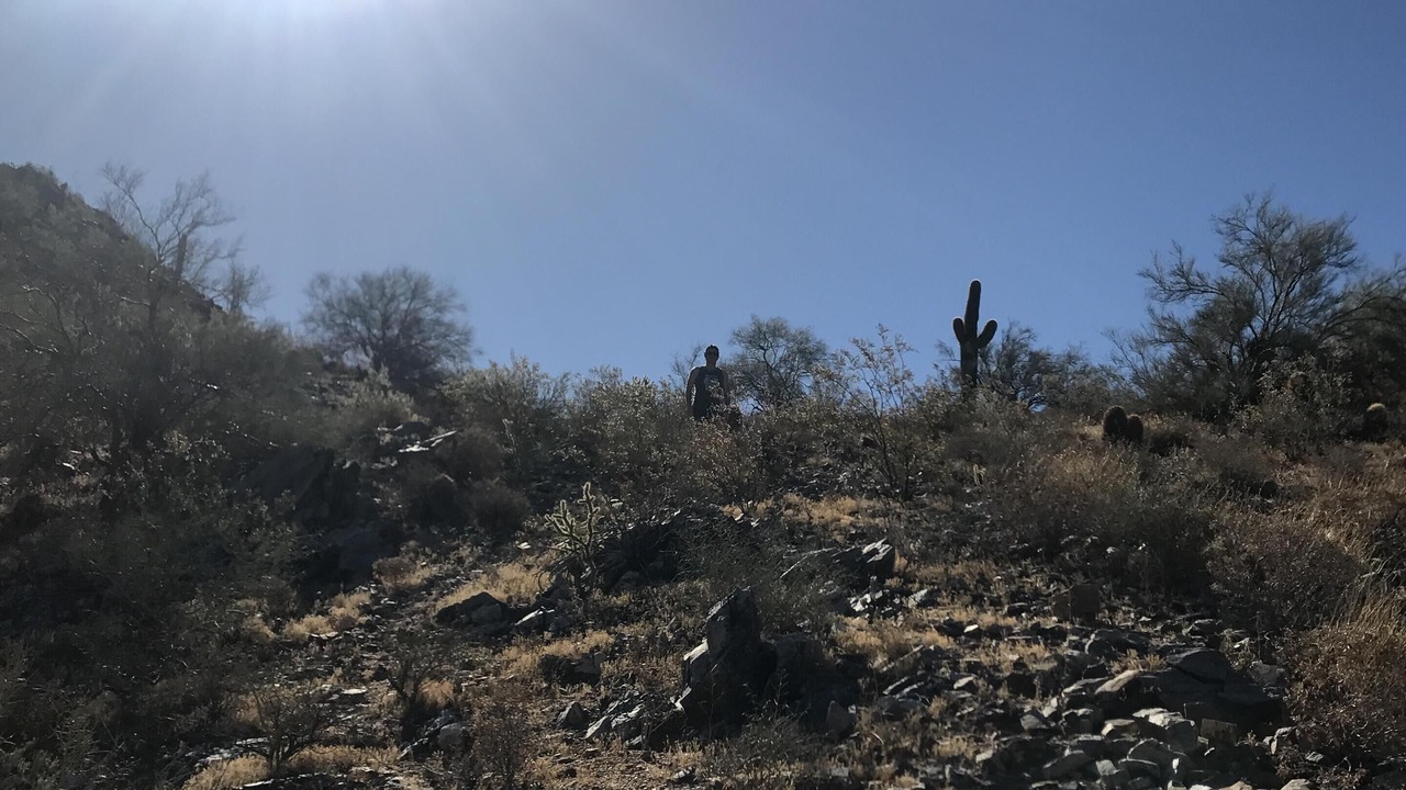 Photo of Outdoor in Quail Hill