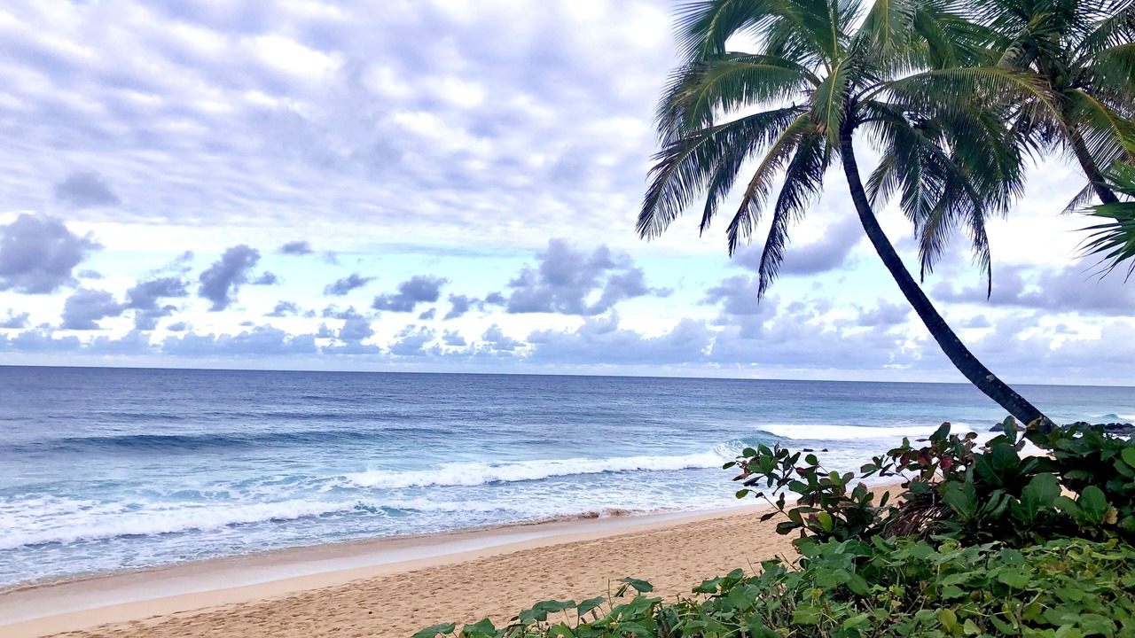 Photo of Others in Pupukea