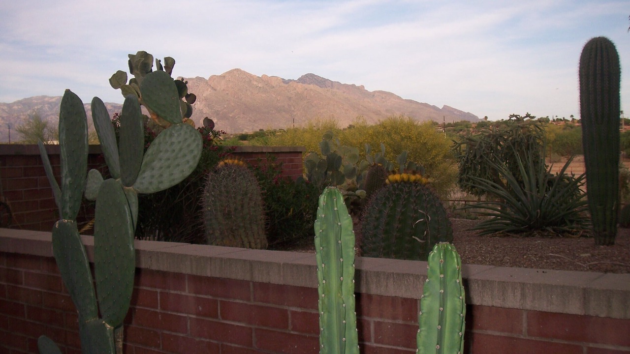 Photo of Others in Casas Adobes