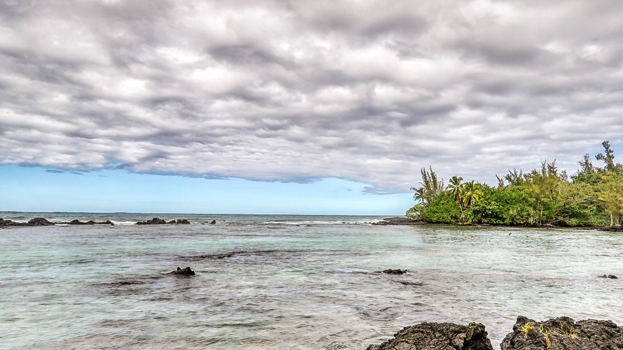 Photo of Others in Hilo