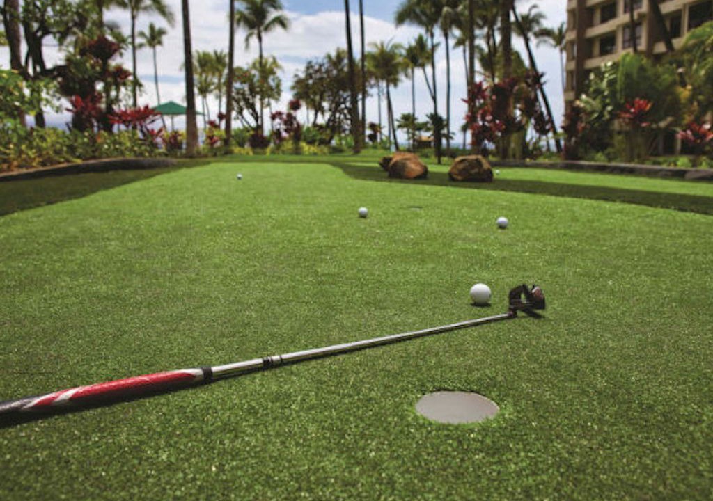 Photo of Others in Kaanapali