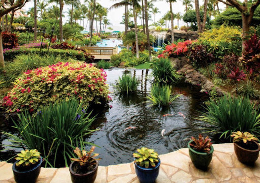 Photo of Outdoor in Kaanapali