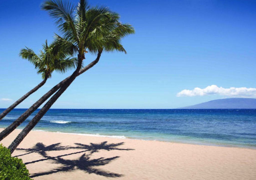Photo of Others in Kaanapali