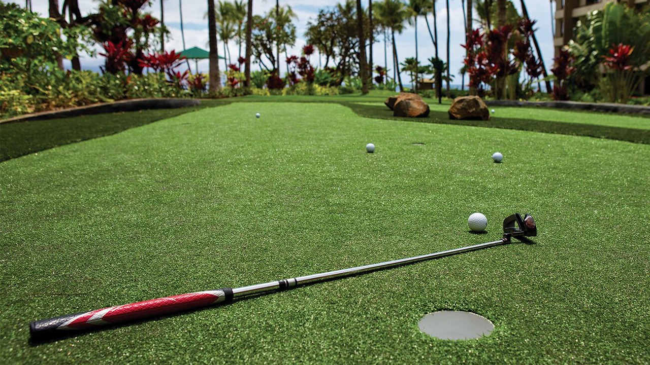 Photo of Others in Kaanapali