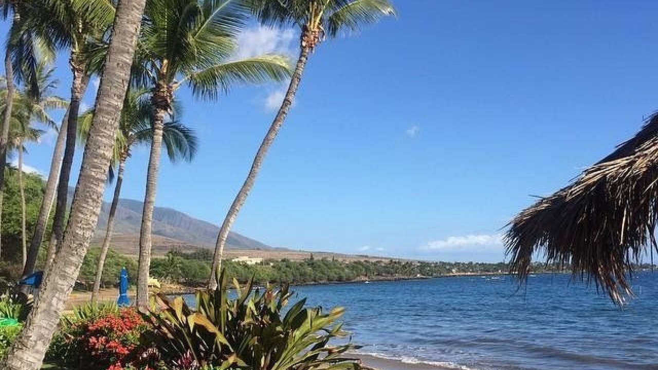 Photo of Others in Kaanapali