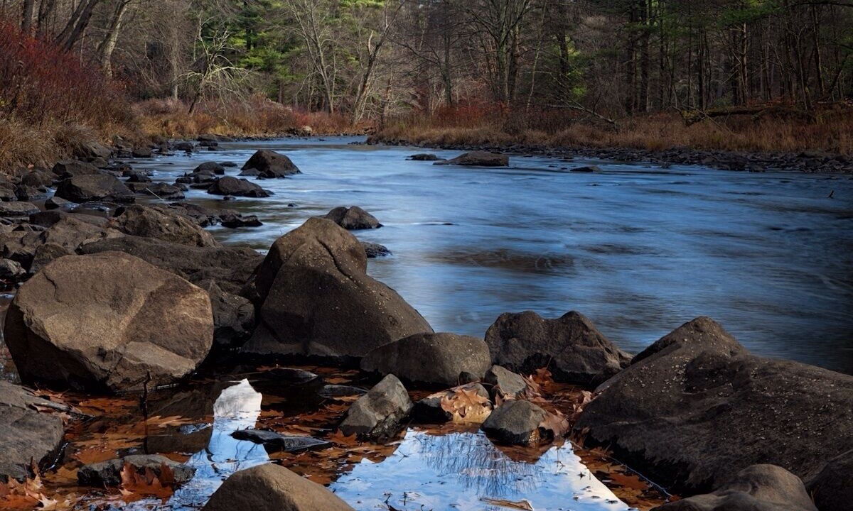 Photo of Others in Blakeslee