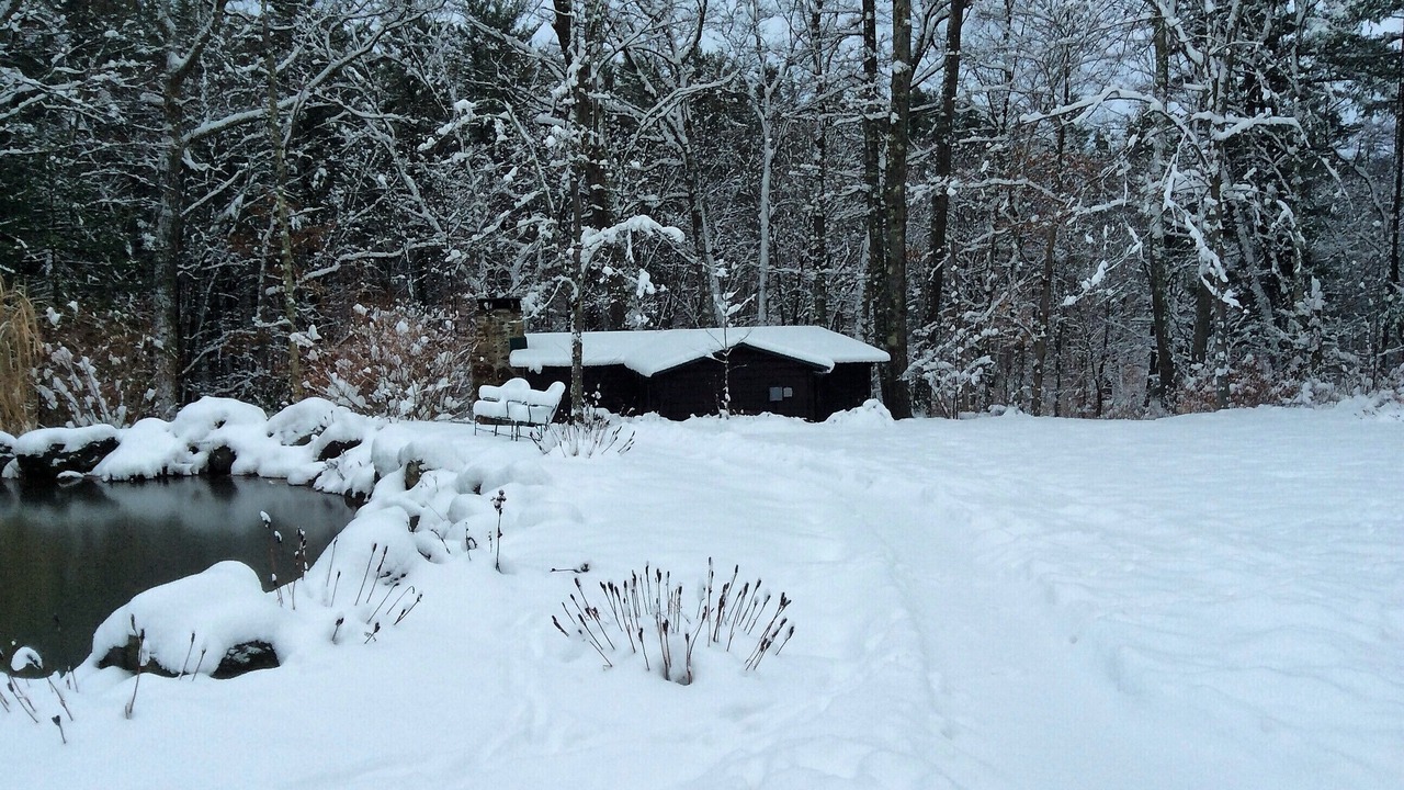 Photo of Outdoor in Blakeslee