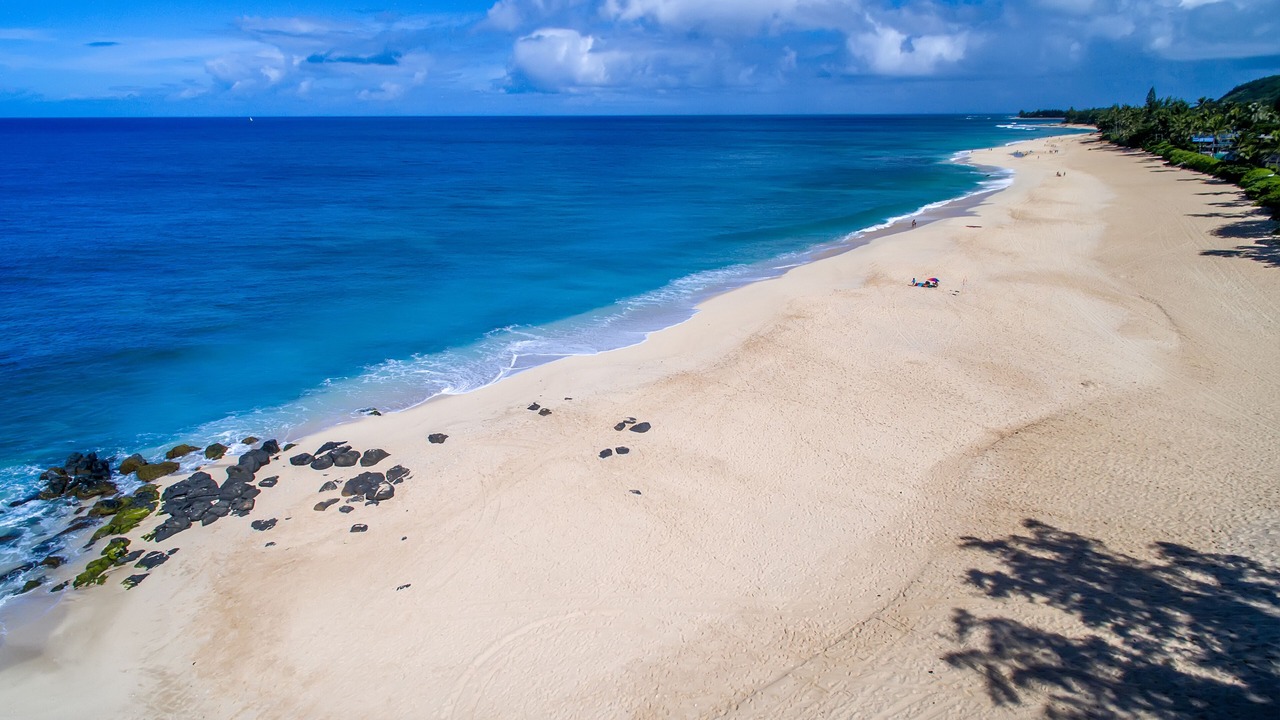 Photo of Others in Pupukea