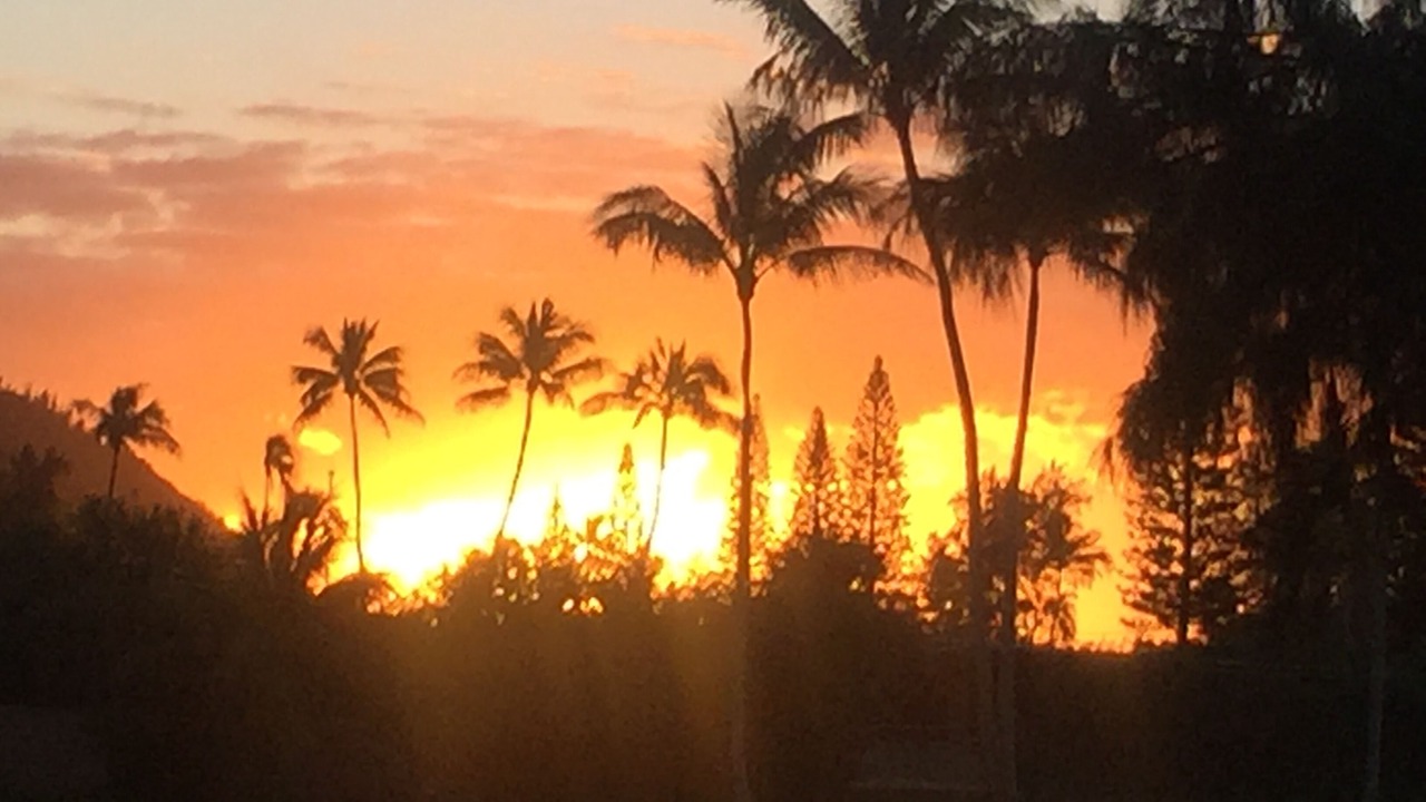 Photo of Others in Kahuku