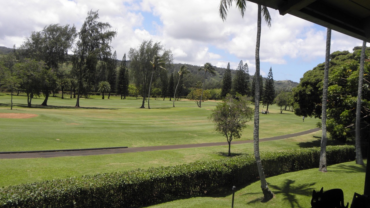 Photo of Others in Kahuku