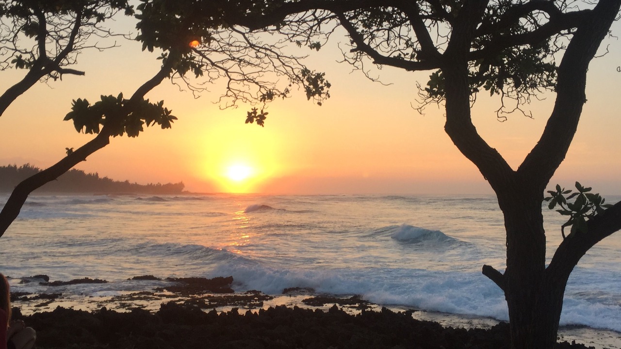 Photo of Others in Kahuku