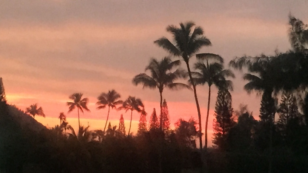 Photo of Others in Kahuku