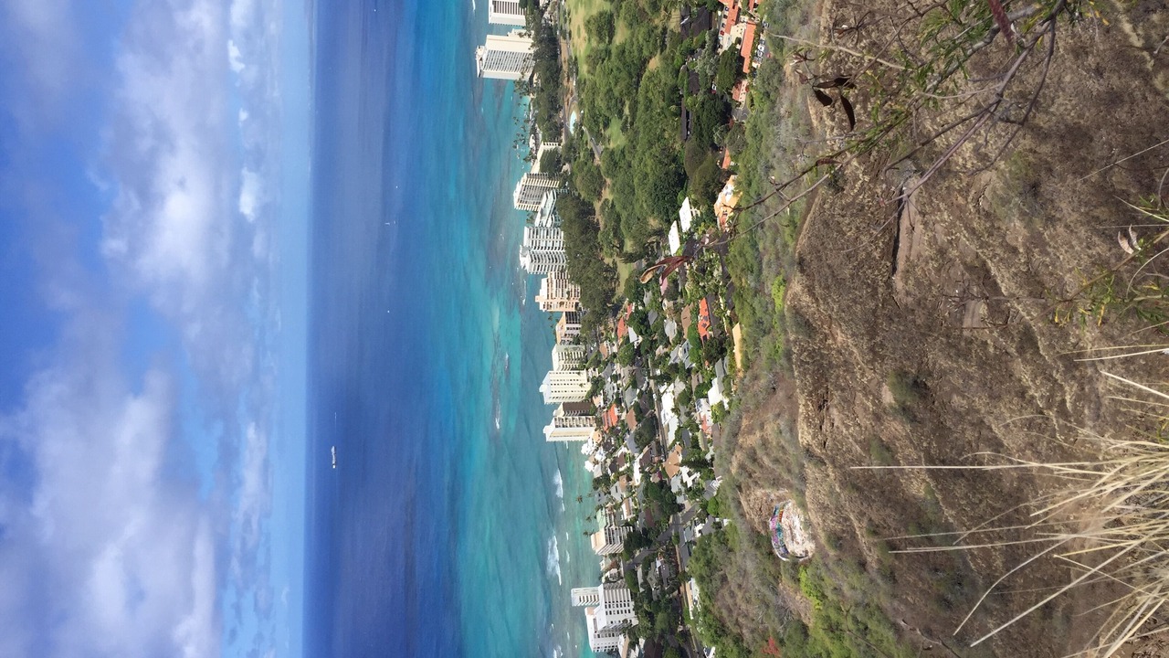 Photo of Outdoor in Waikiki