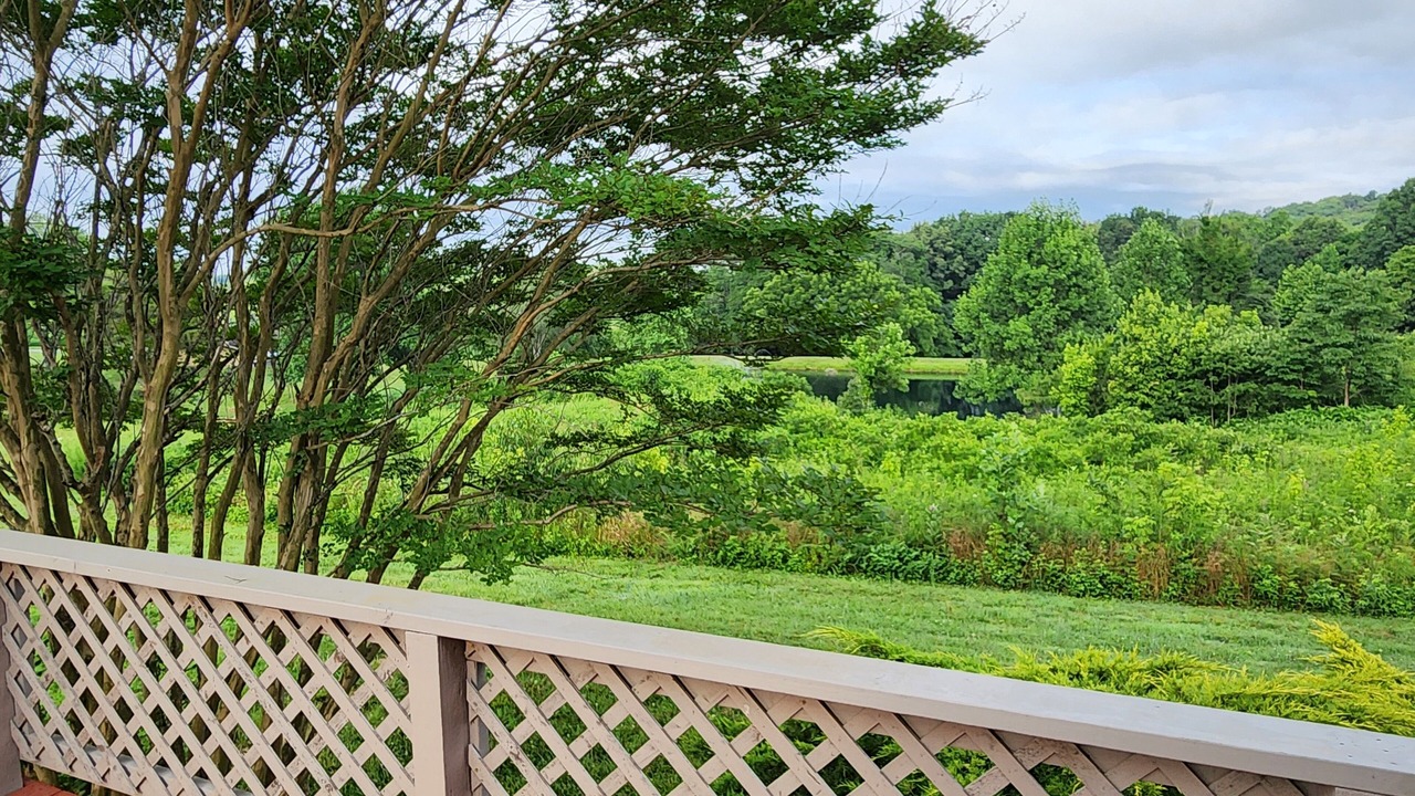 Photo of Outdoor in Buncombe