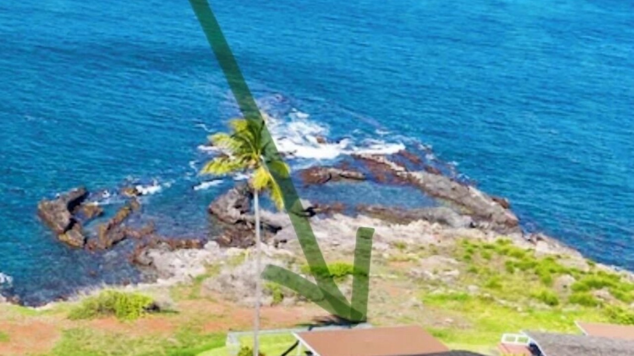 Photo of Others in Napili