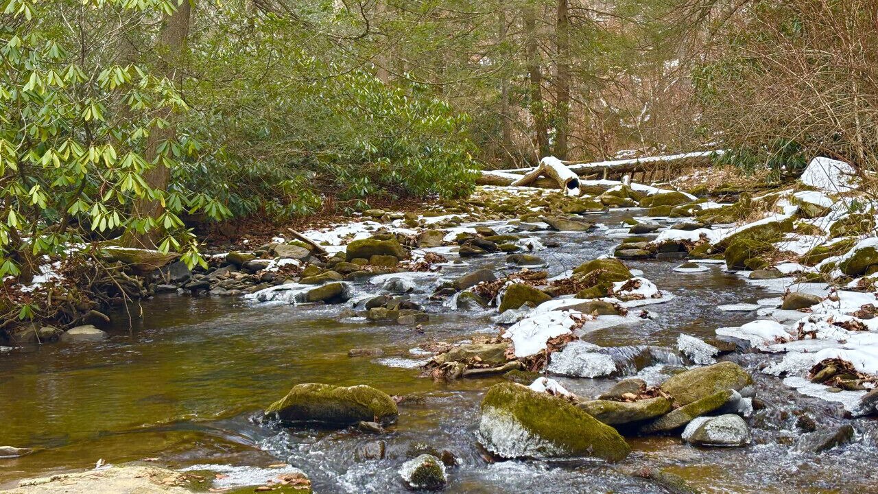 Photo of Others in Confluence