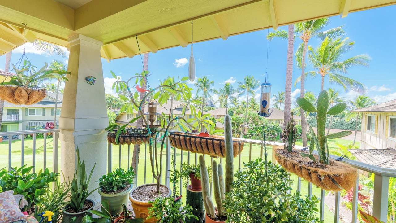 Photo of Outdoor in Ko Olina