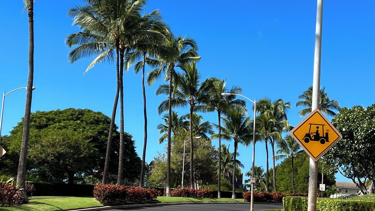Photo of Others in Ko Olina