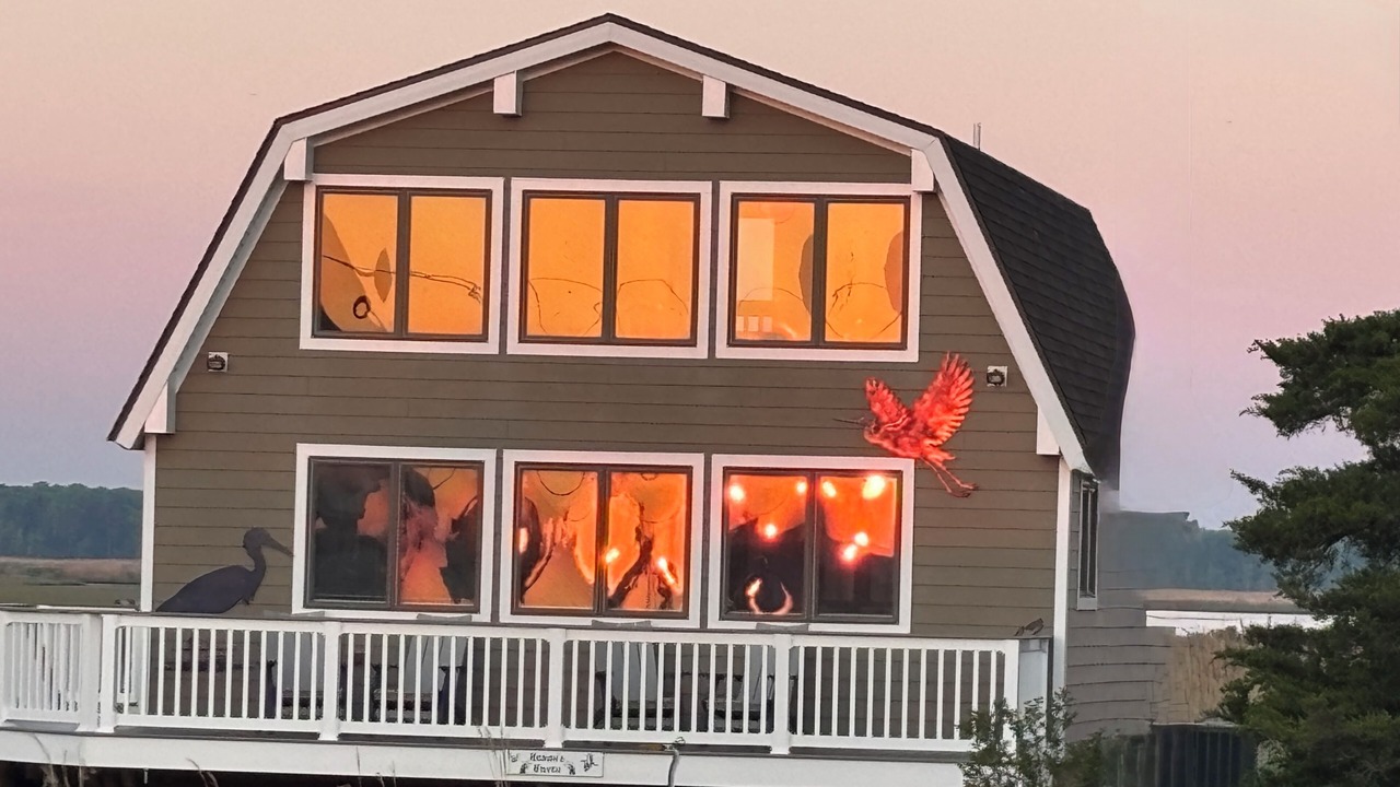 Photo of Others in Prime Hook Beach
