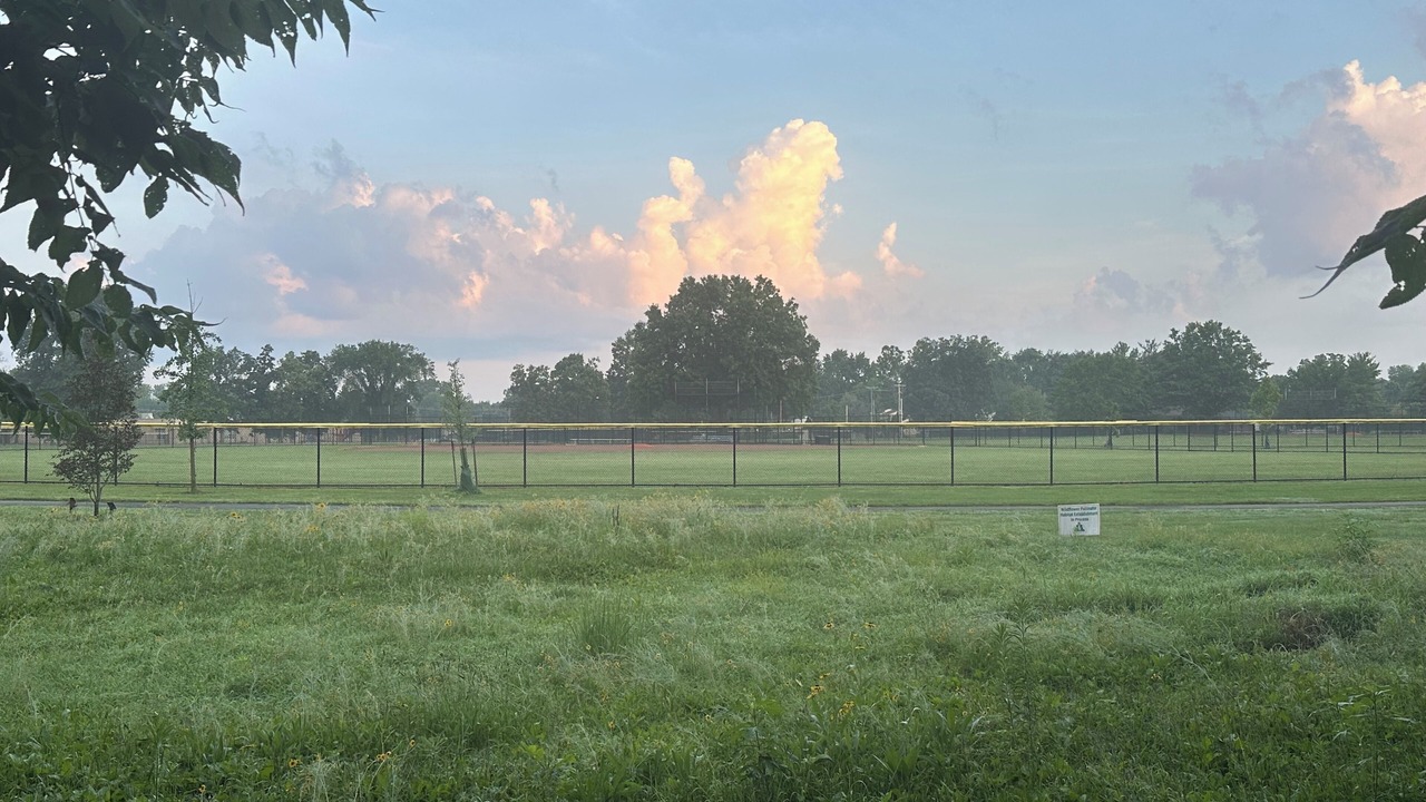 Photo of Others in Lehy Acres
