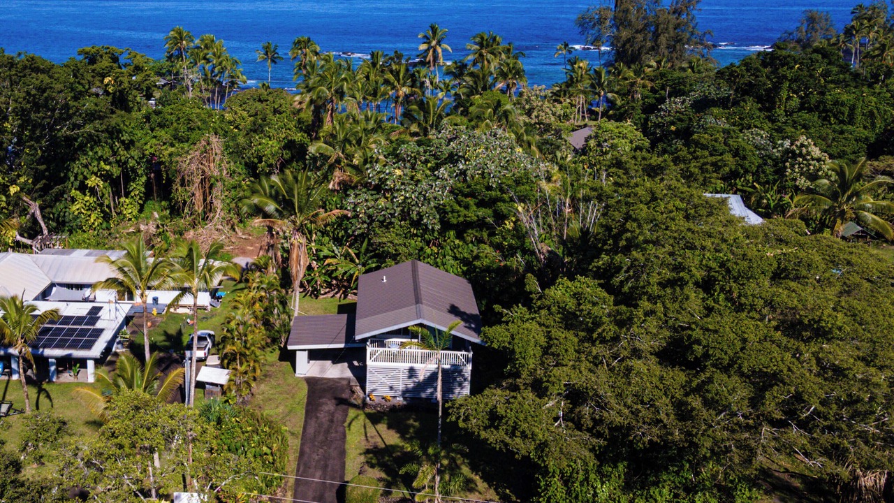 Photo of Others in Hilo