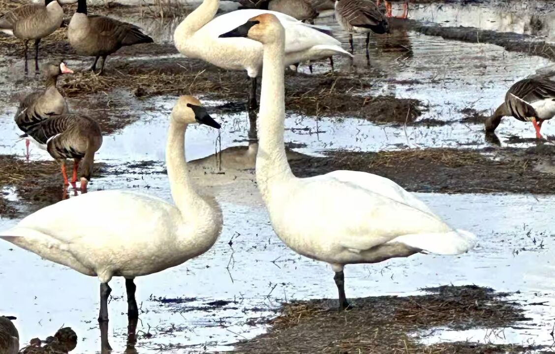 Photo of Others in College