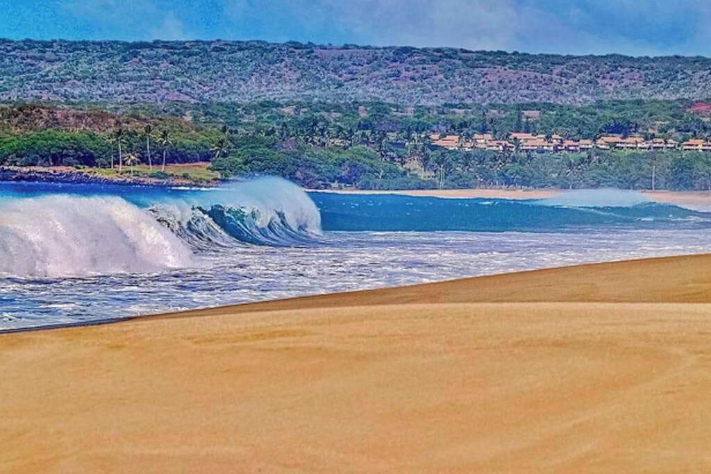 Photo of Others in Maunaloa