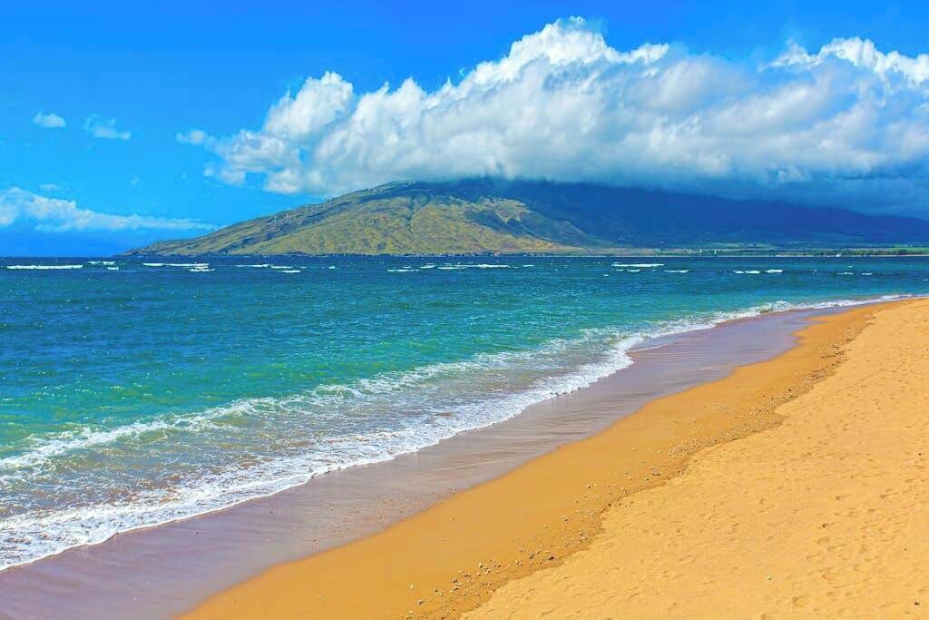 Photo of Others in Maalaea