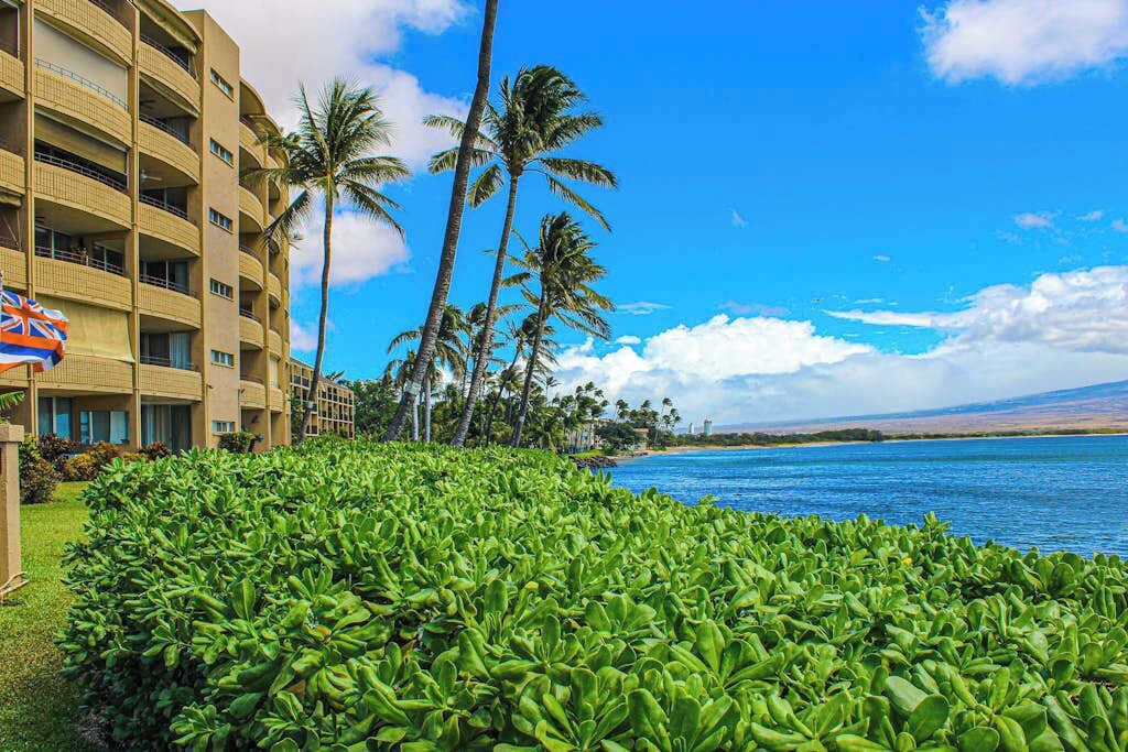 Photo of Outdoor in Maalaea