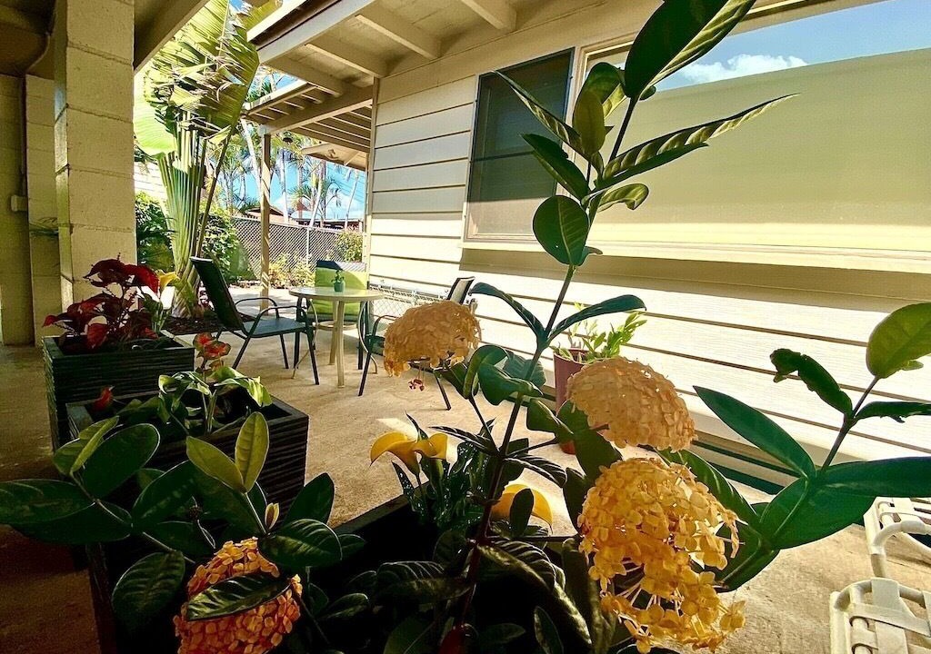 Photo of Outdoor in Ewa