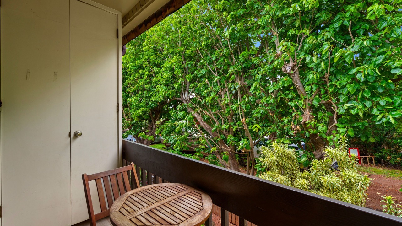 Photo of Outdoor in Napili