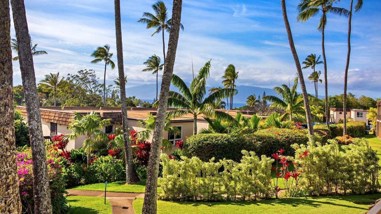 Photo of Outdoor in Napili