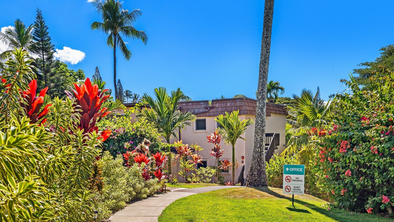 Photo of Outdoor in Napili