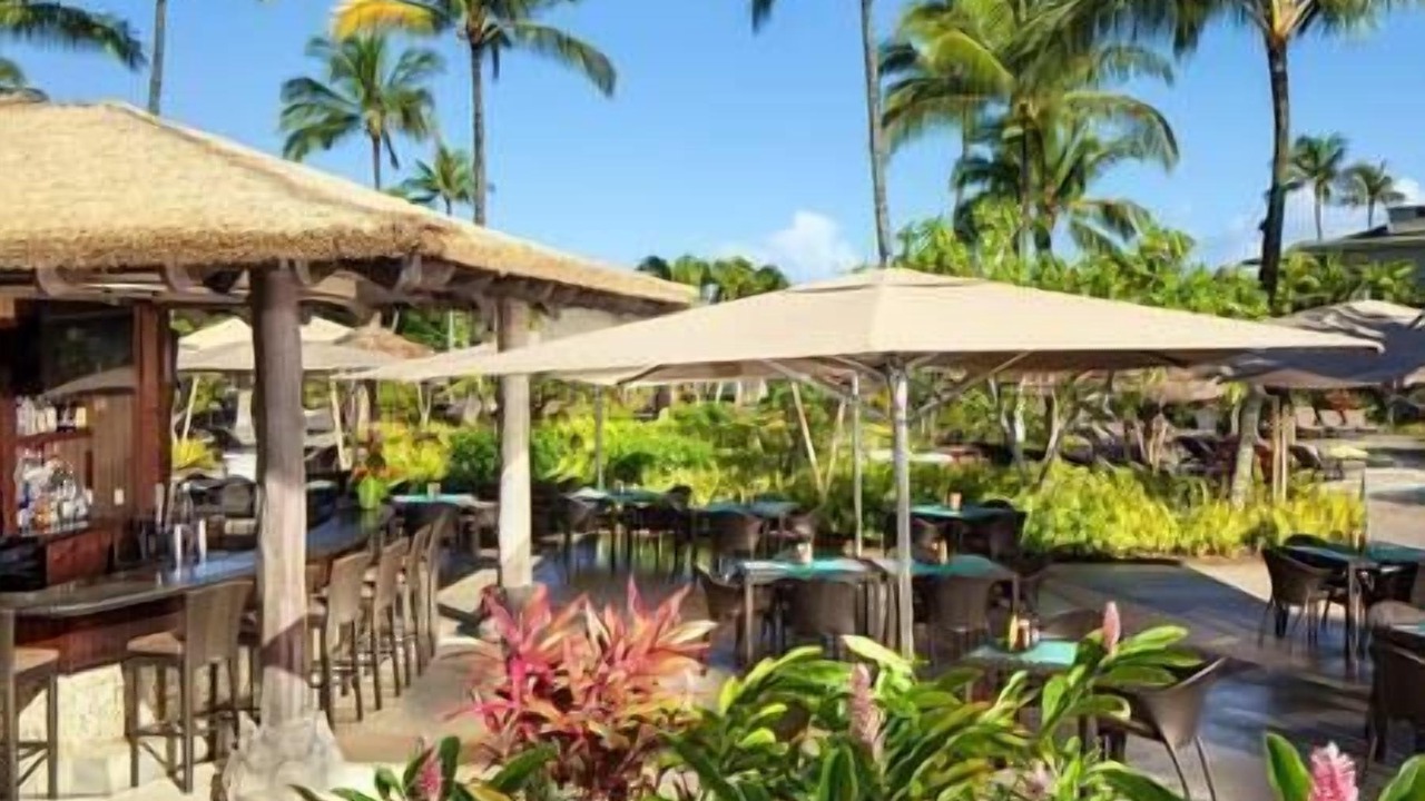 Photo of Outdoor in Princeville