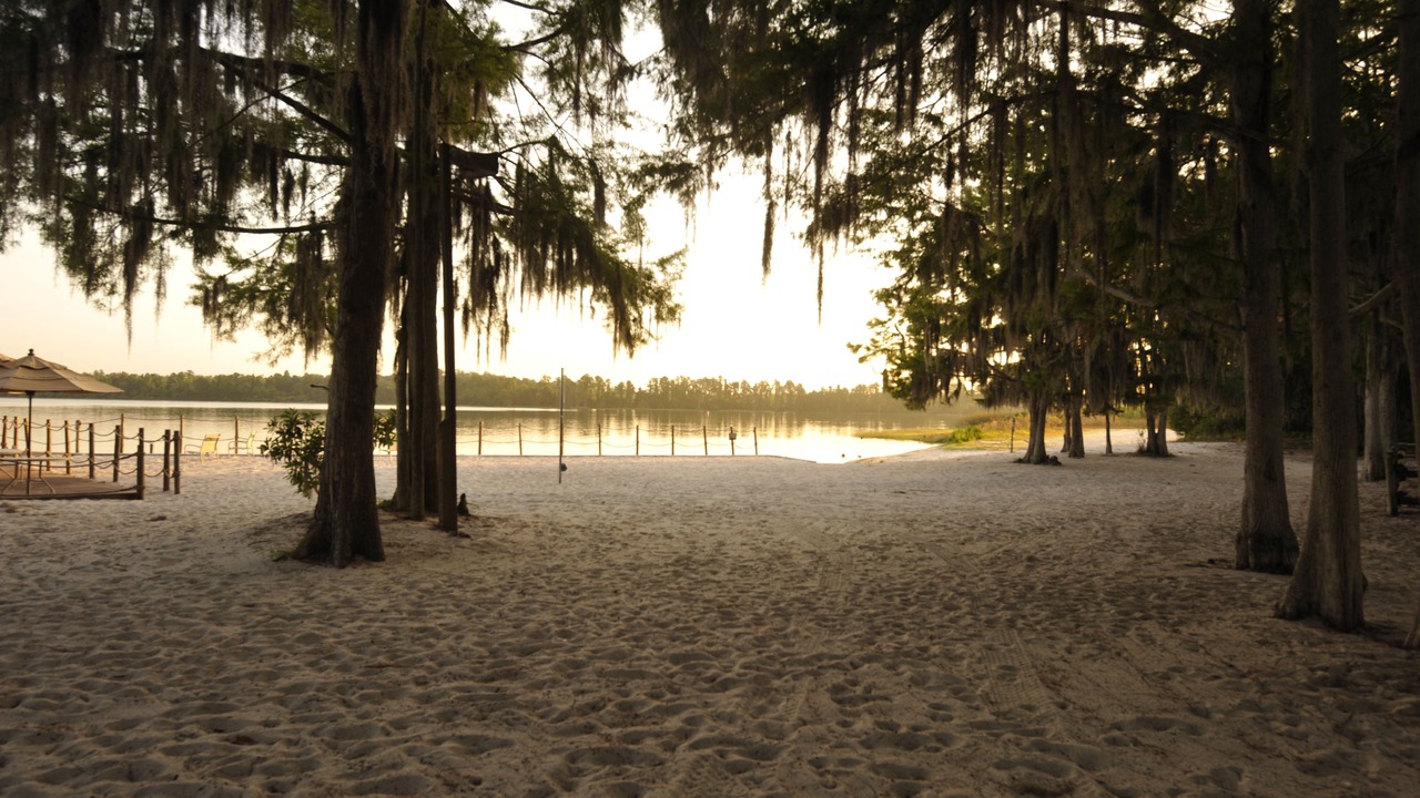 Photo of Others in Bay Lake