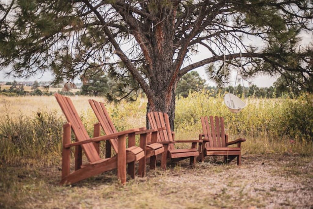Photo of Outdoor in Colorado Springs