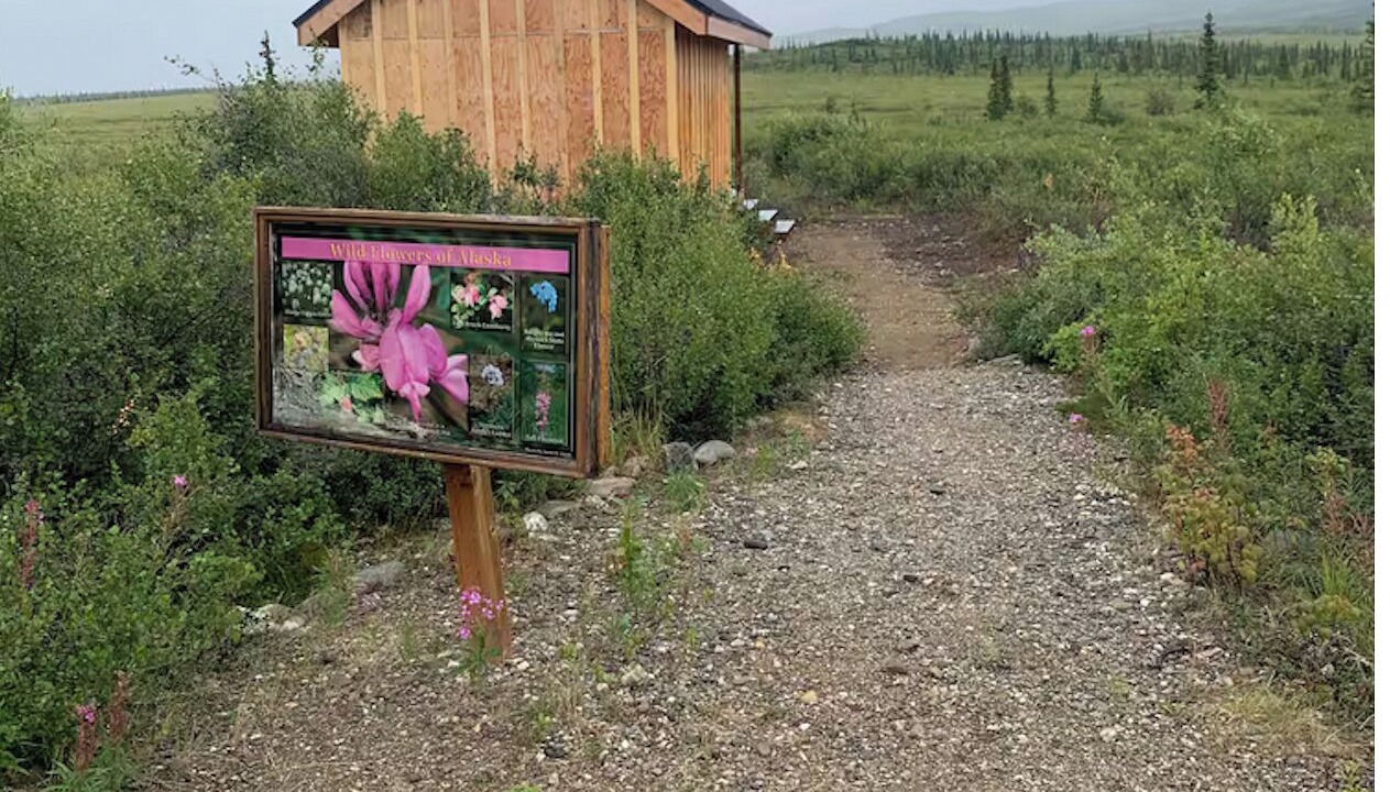 Photo of Others in Healy