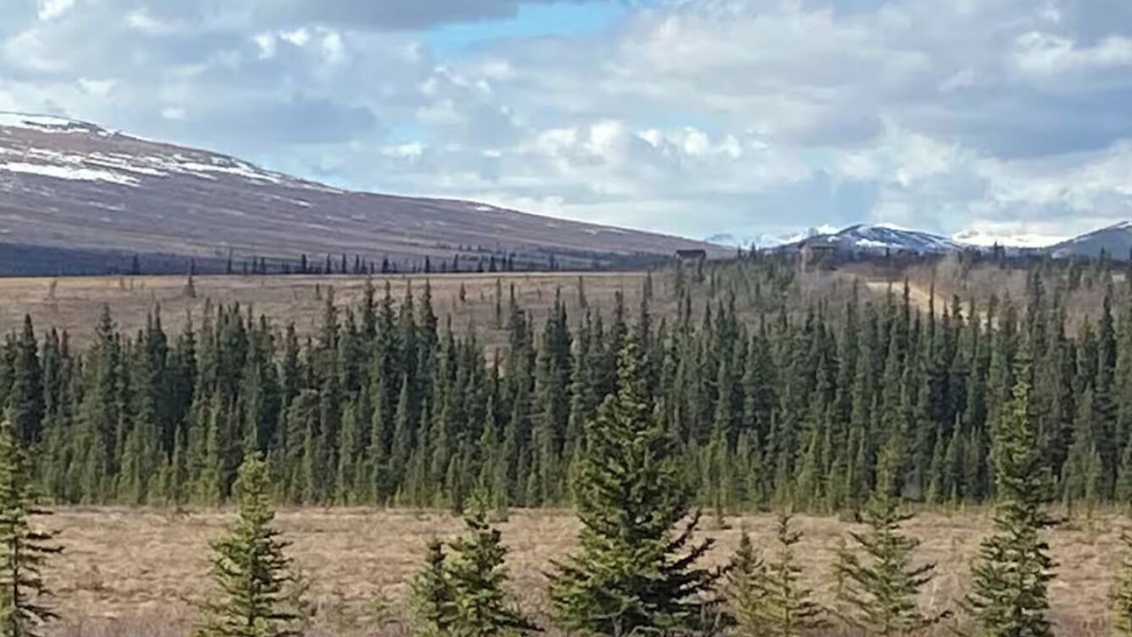 Photo of Others in Healy