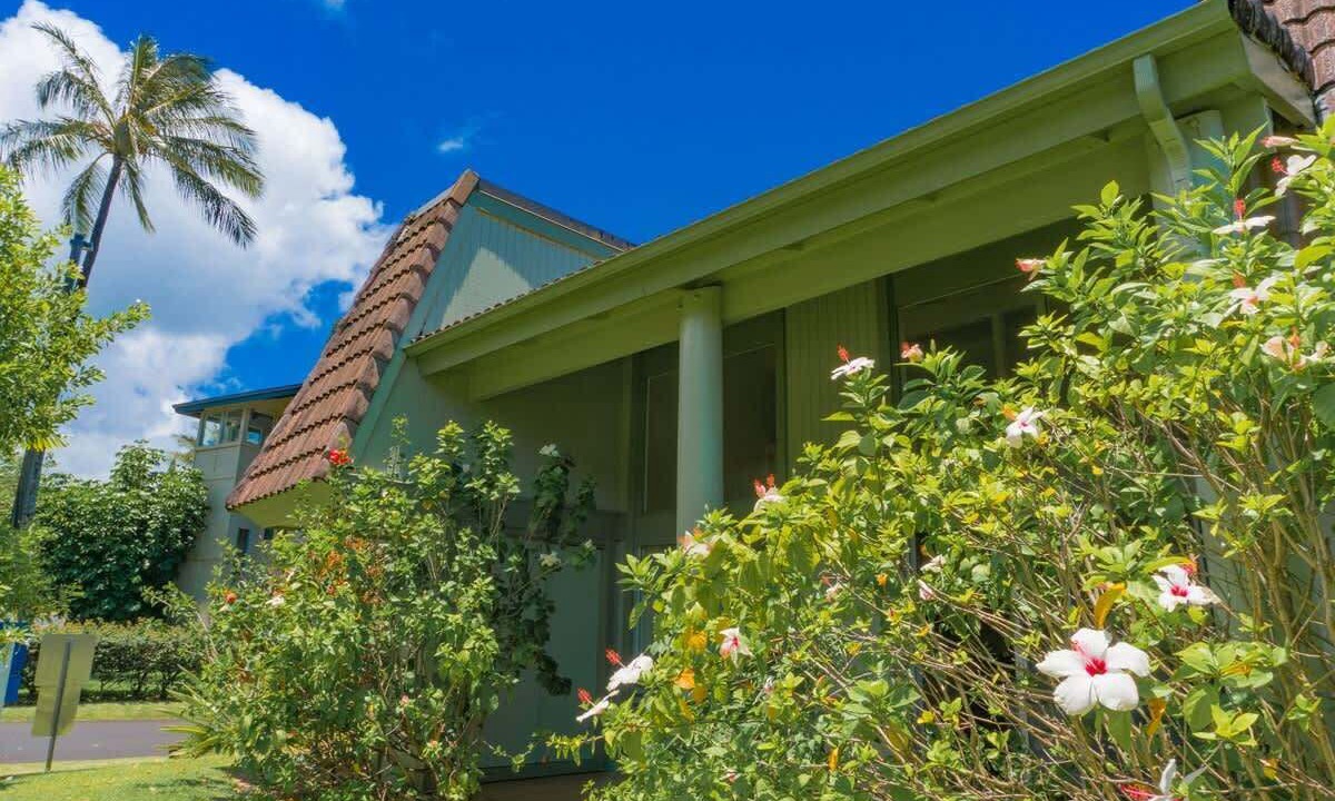 Photo of Outdoor in Princeville