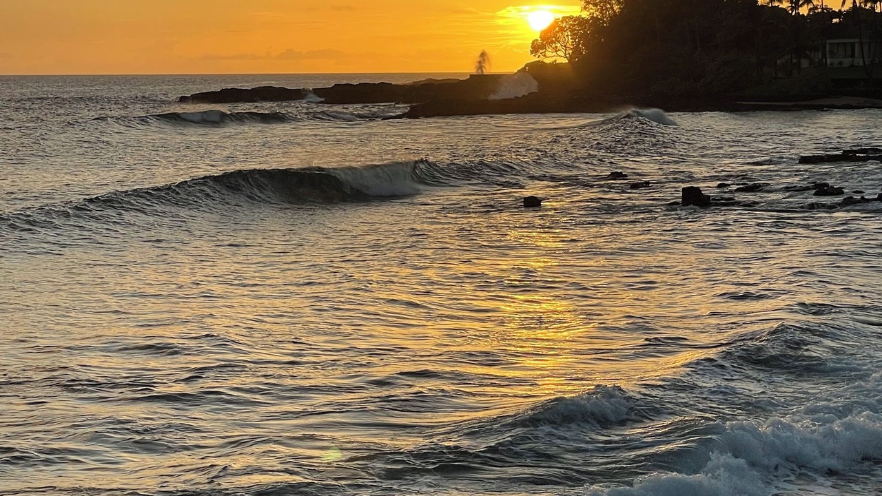 Photo of Others in Poipu