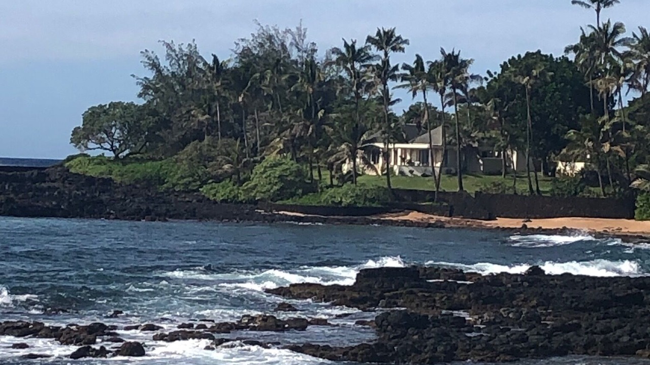 Photo of Others in Poipu